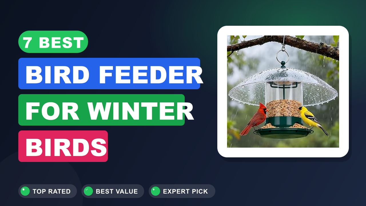 7 Best Bird Feeder for Winter Birds