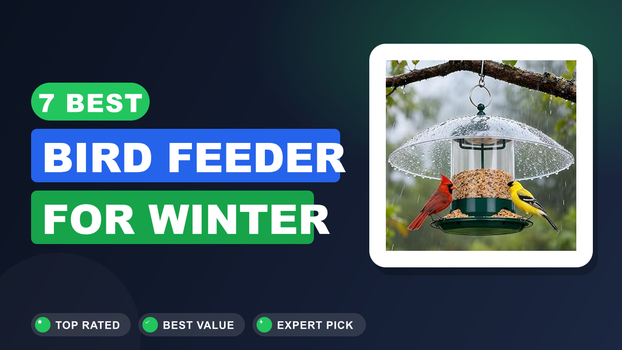 7 Best Bird Feeder for Winter