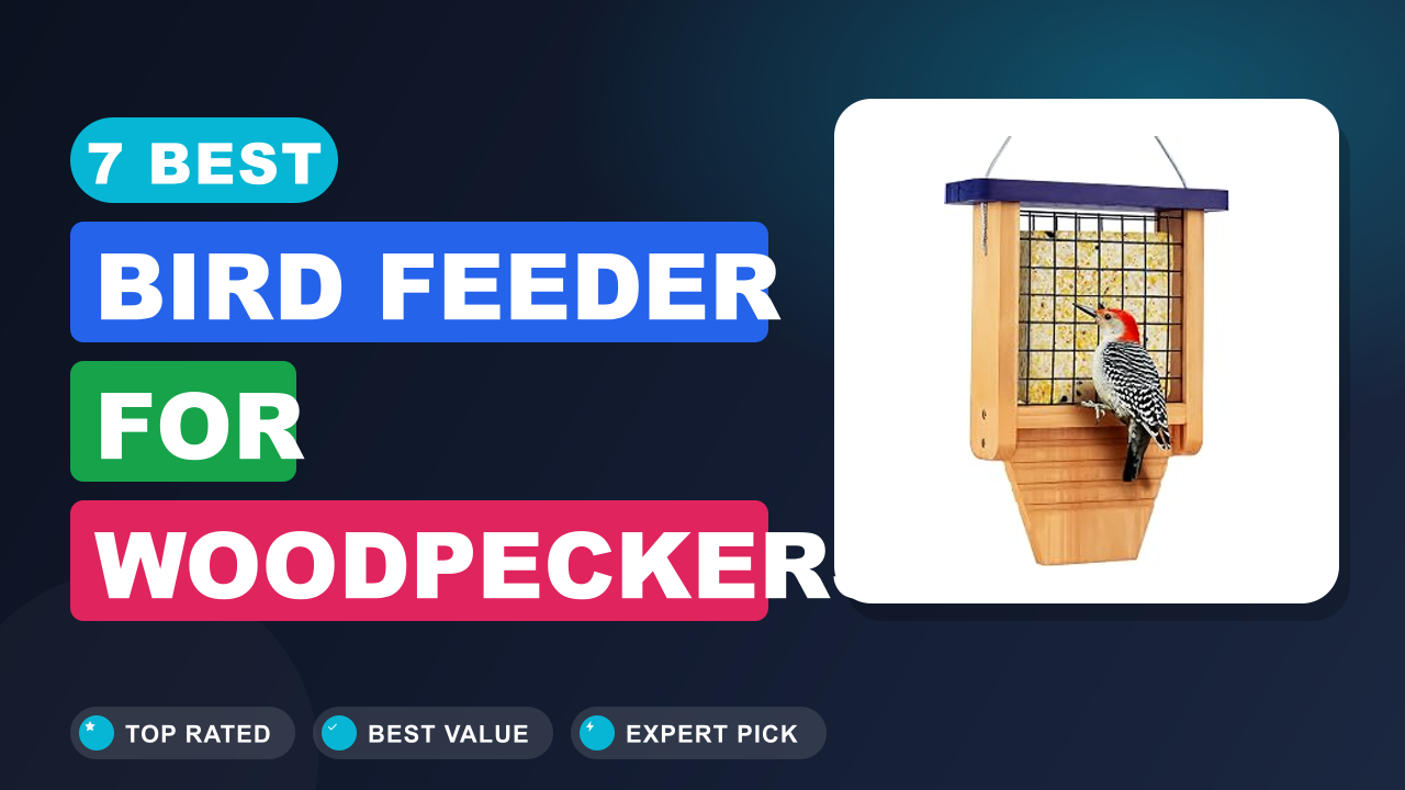 7 Best Bird Feeder for Woodpeckers