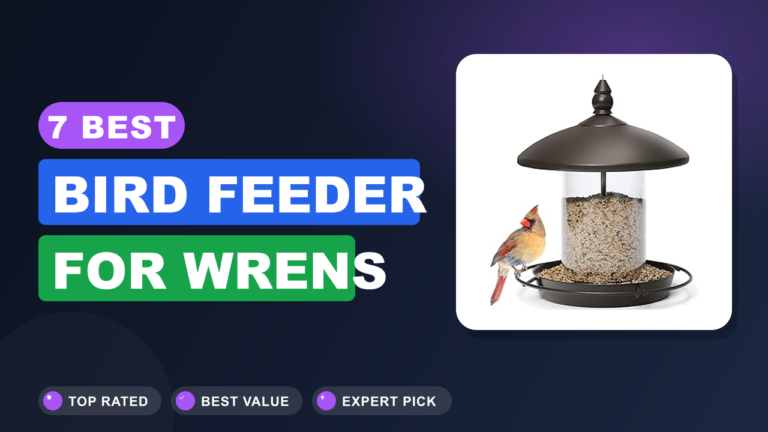 7 Best Bird Feeder for Wrens