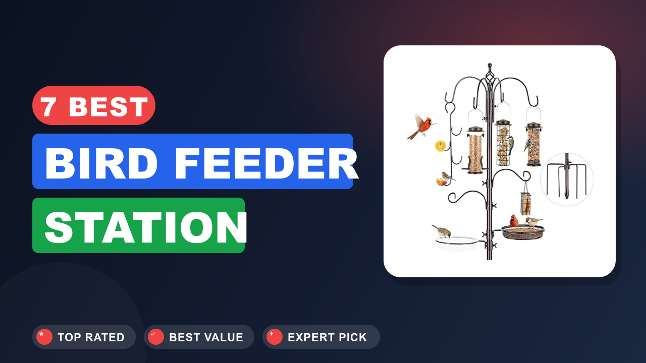 7 Best Bird Feeder Station