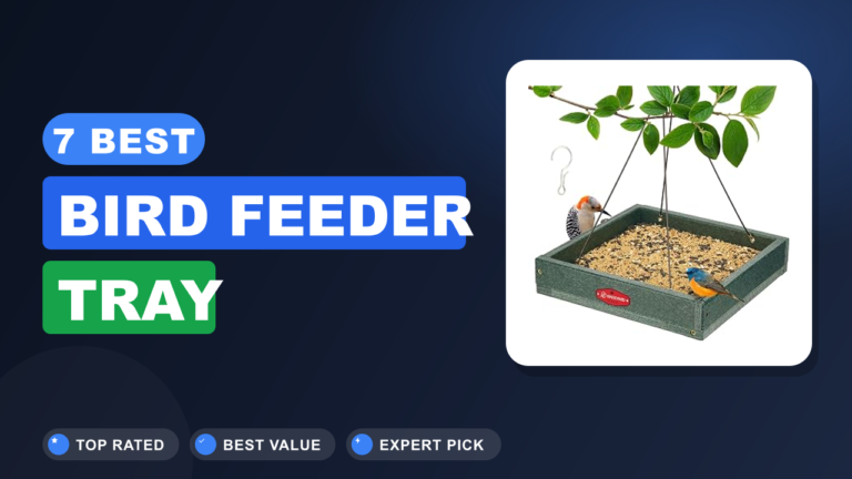 7 Best Bird Feeder Tray