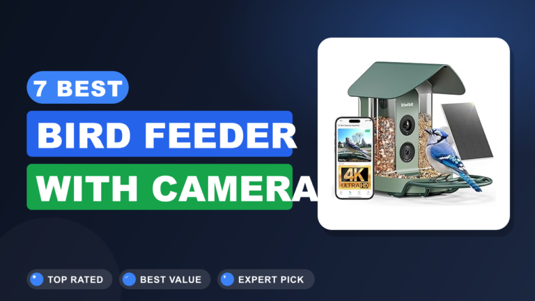7 Best Bird Feeder With Camera