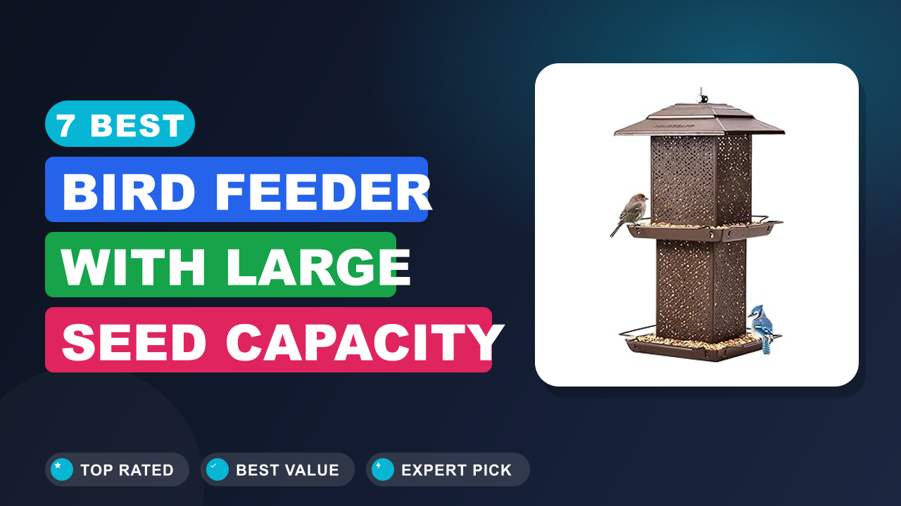7 Best Bird Feeder With Large Seed Capacity