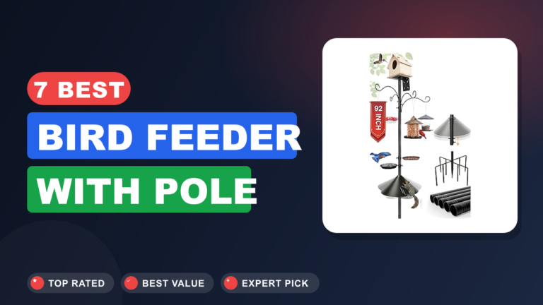 7 Best Bird Feeder With Pole