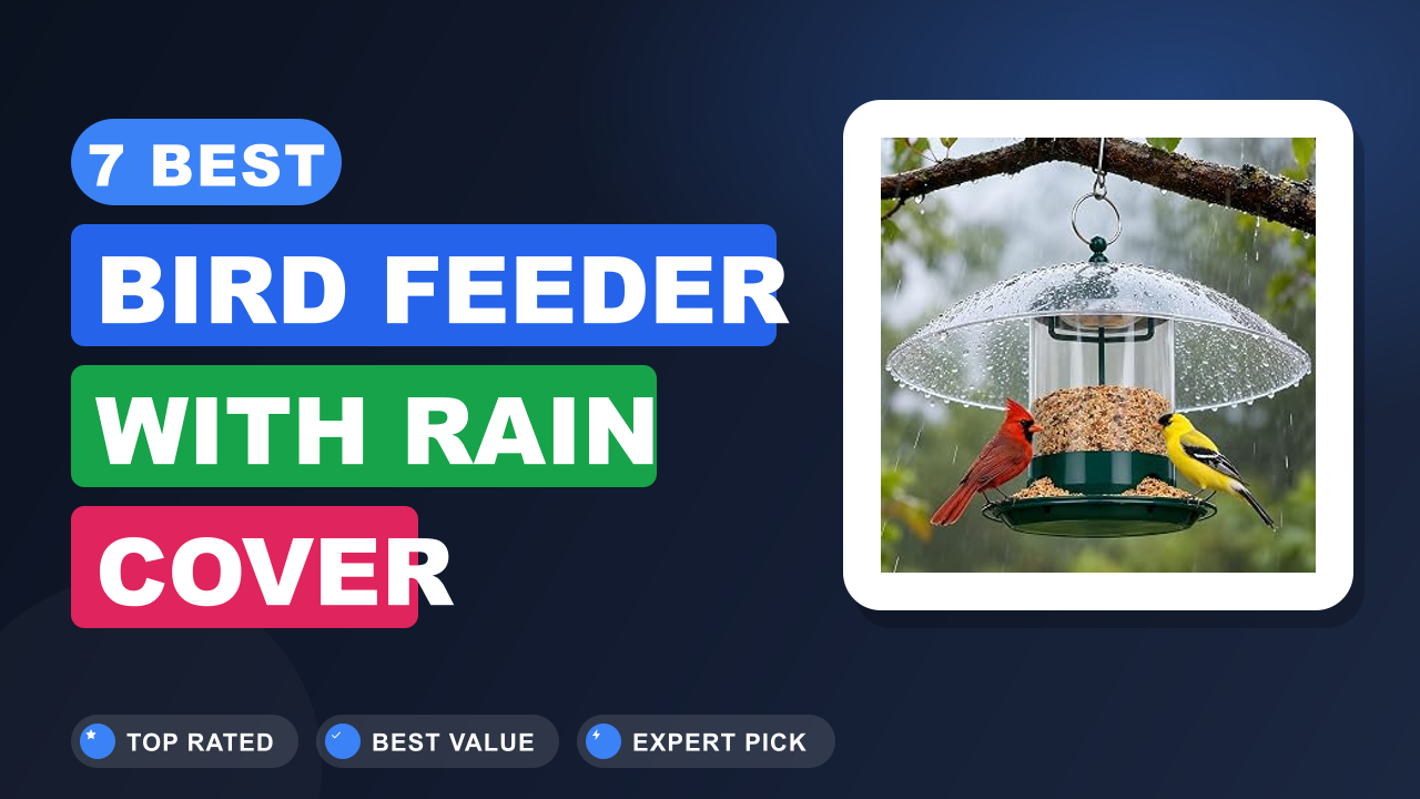 7 Best Bird Feeder With Rain Cover