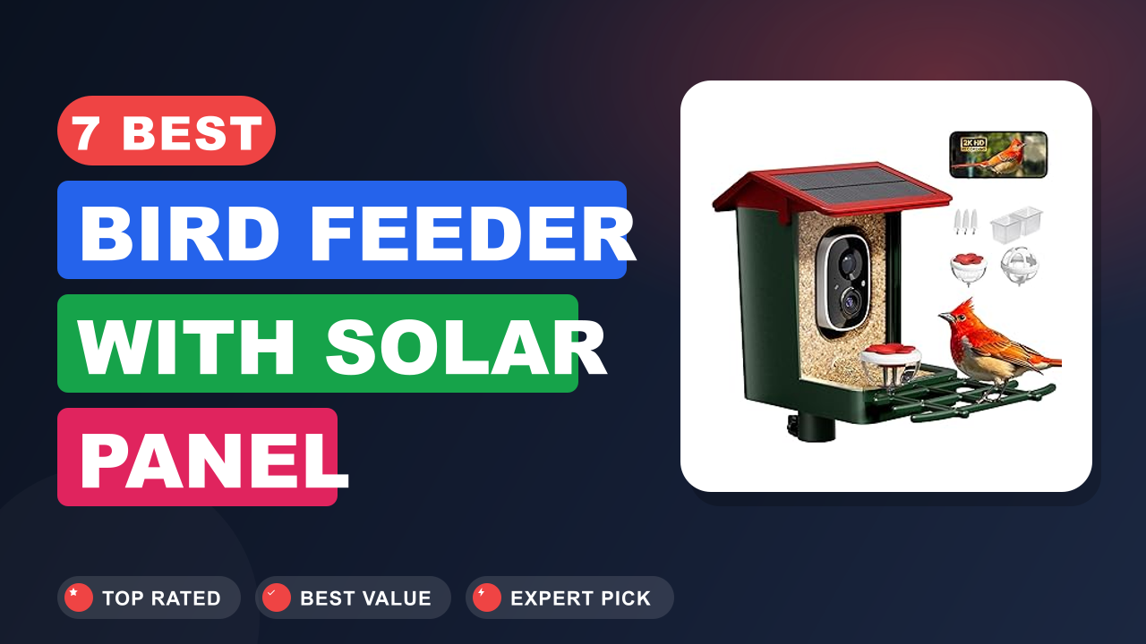 7 Best Bird Feeder With Solar Panel