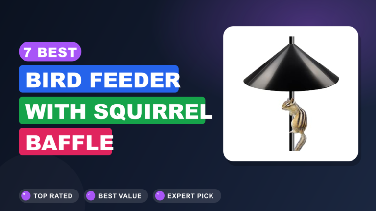 7 Best Bird Feeder With Squirrel Baffle