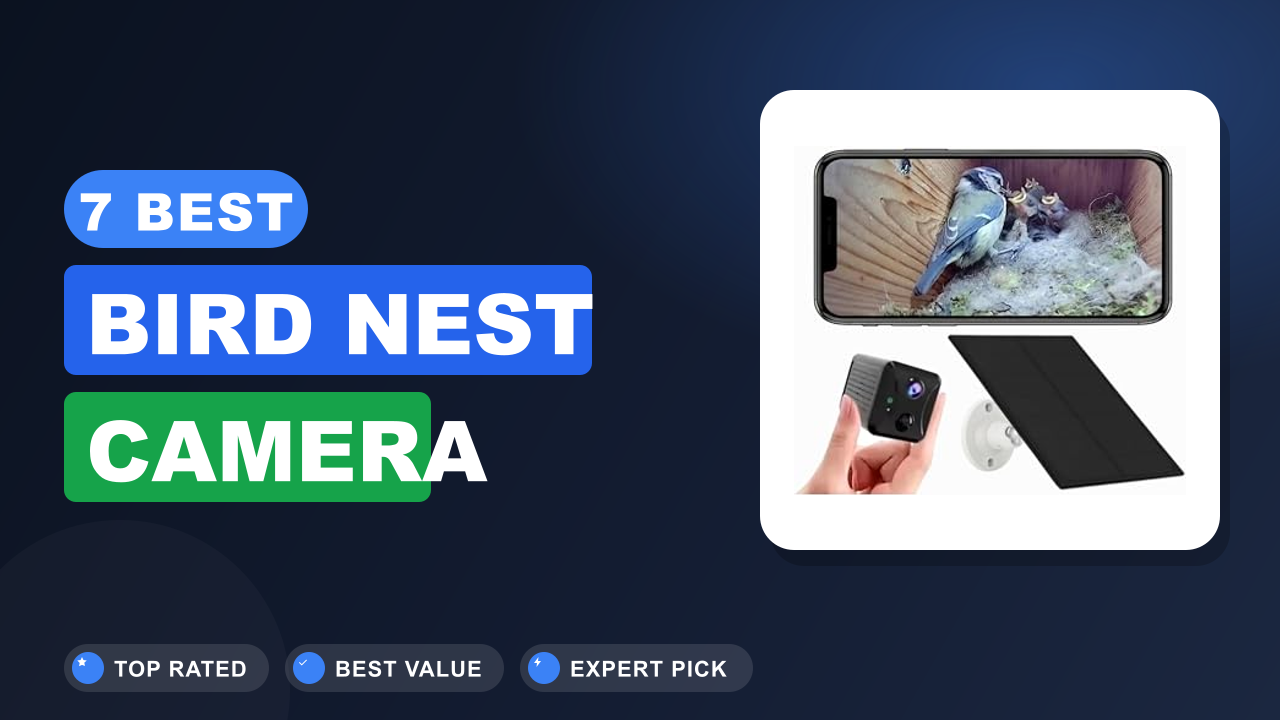 7 Best Bird Nest Camera