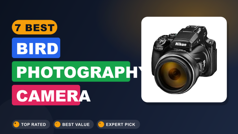 7 Best Bird Photography Camera