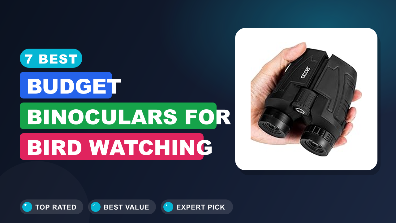 7 Best Budget Binoculars for Bird Watching