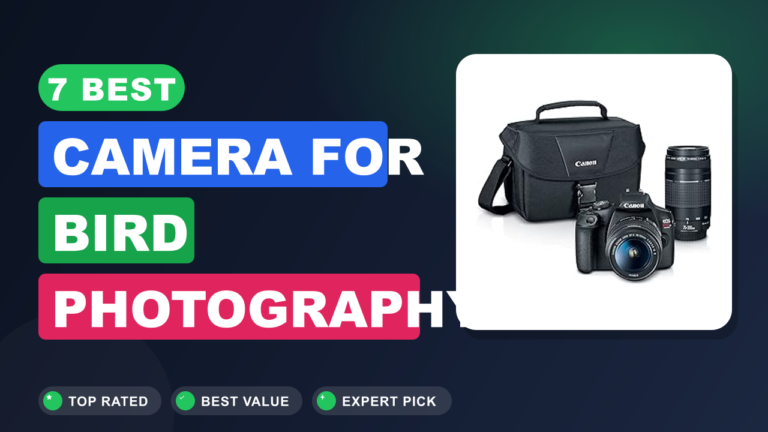 7 Best Camera for Bird Photography