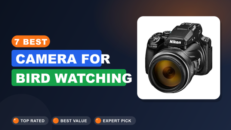 7 Best Camera for Bird Watching