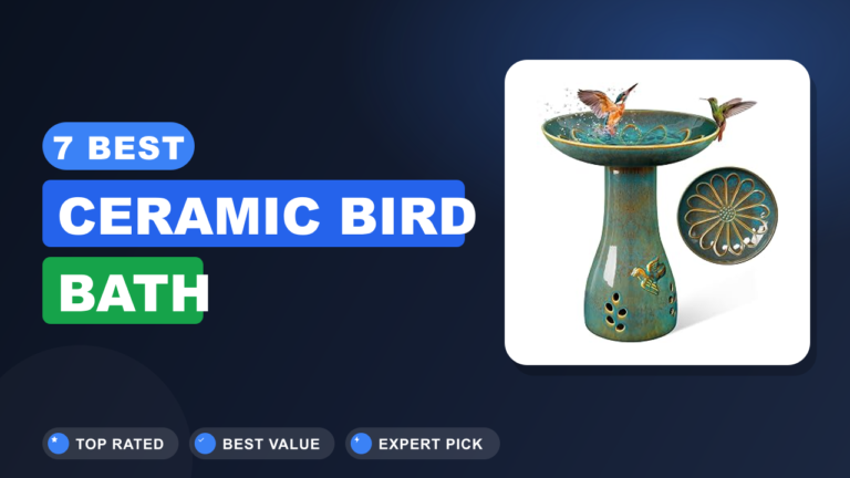 7 Best Ceramic Bird Bath