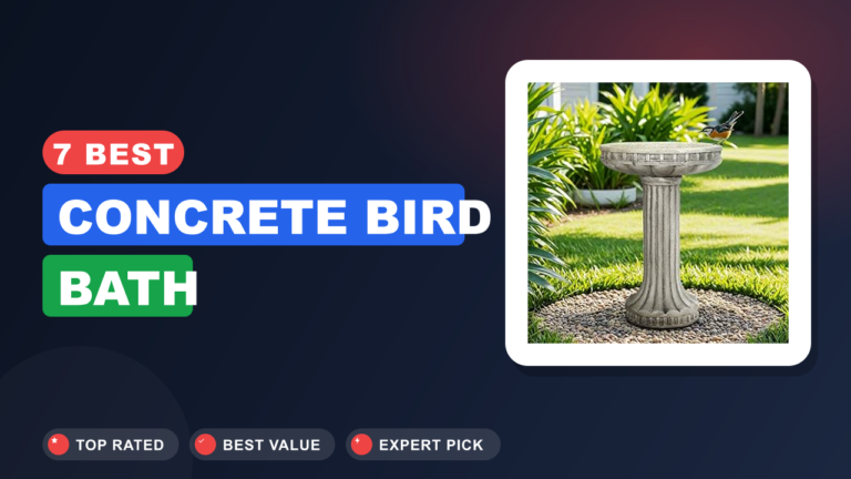 7 Best Concrete Bird Bath