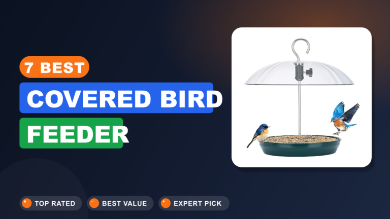 7 Best Covered Bird Feeder