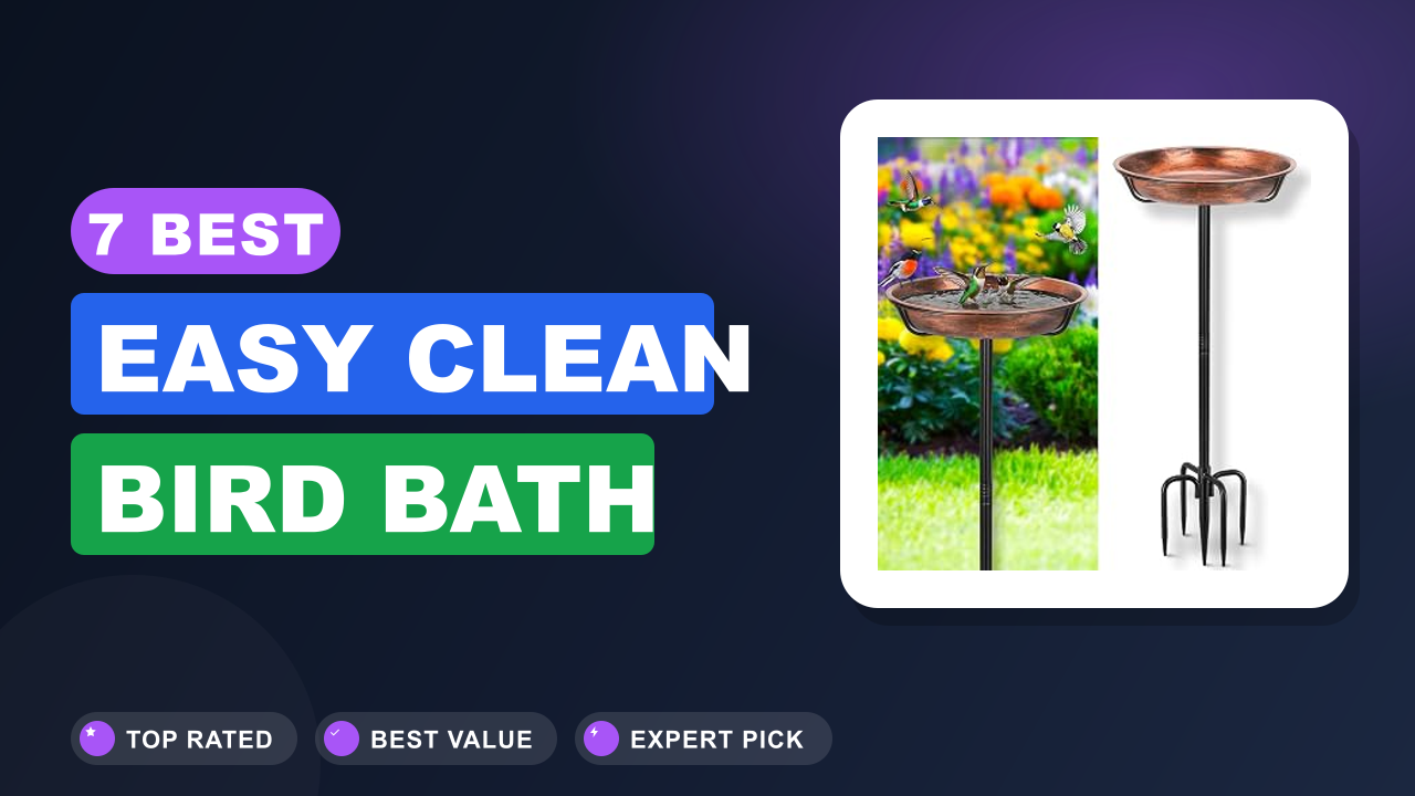 7 Best Easy Clean Bird Bath