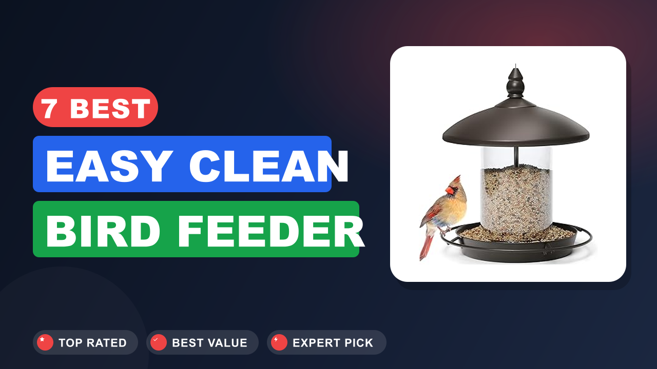 7 Best Easy Clean Bird Feeder