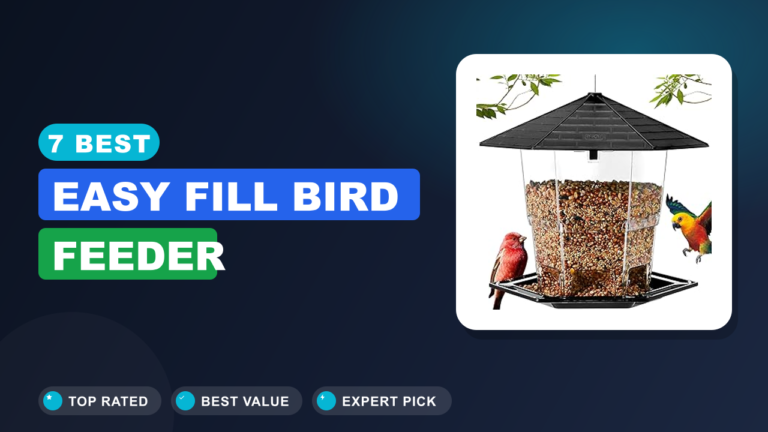 7 Best Easy Fill Bird Feeder