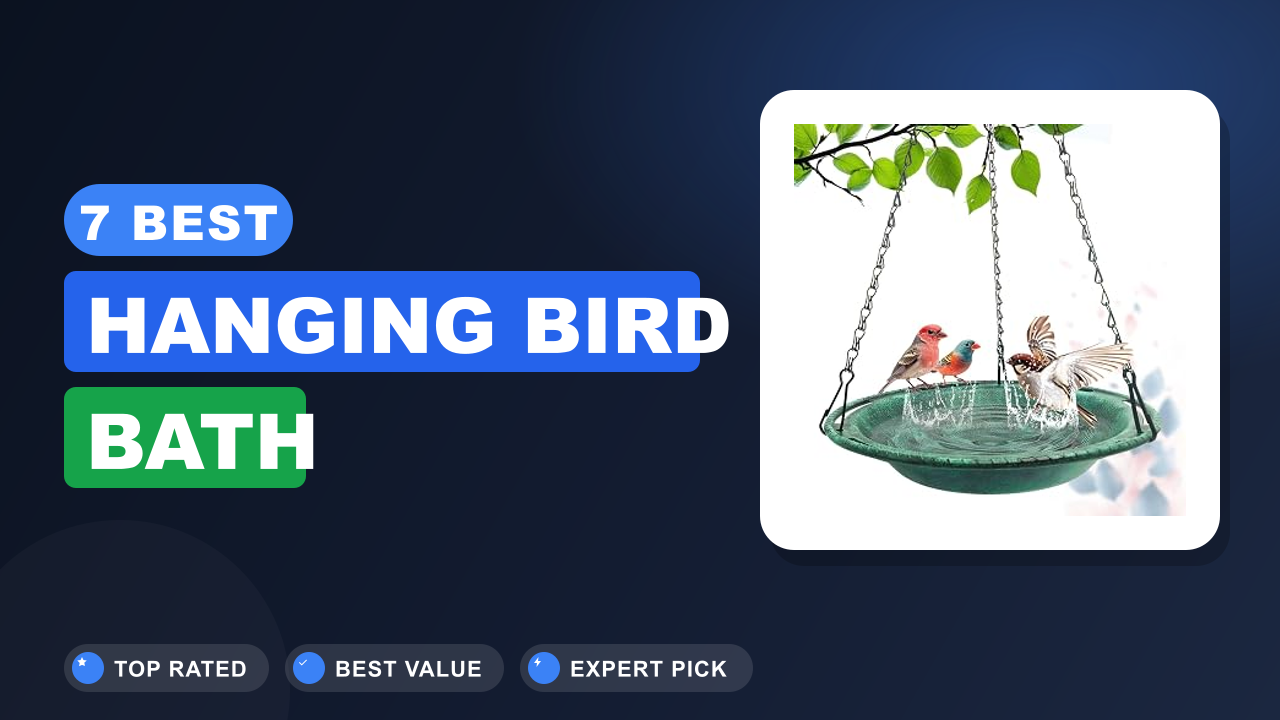 7 Best Hanging Bird Bath