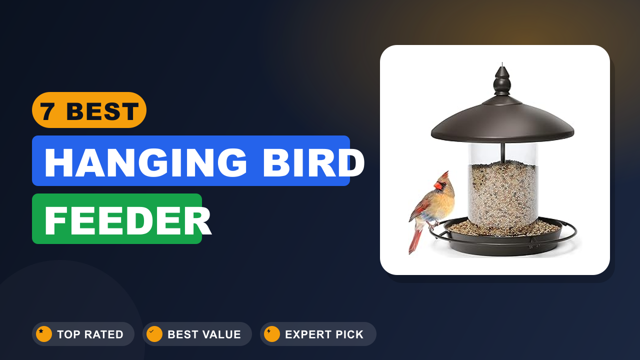 7 Best Hanging Bird Feeder