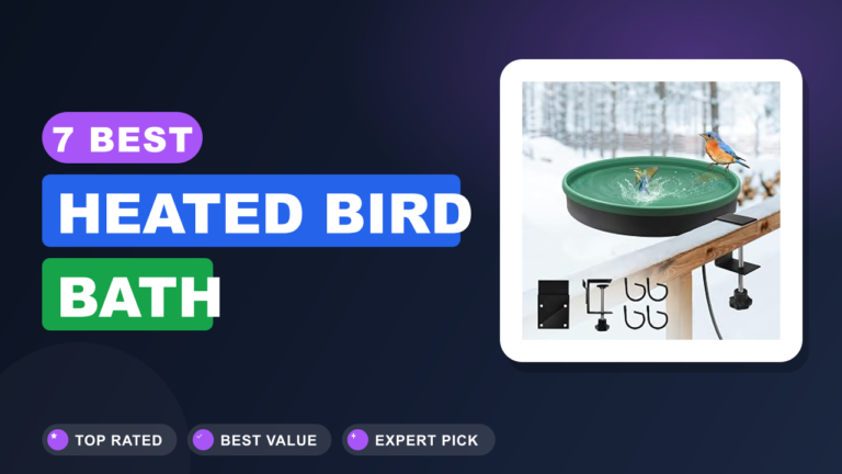 7 Best Heated Bird Bath