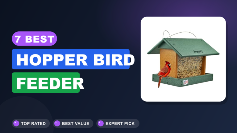 7 Best Hopper Bird Feeder