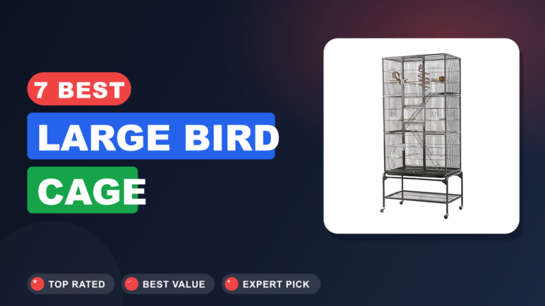7 Best Large Bird Cage