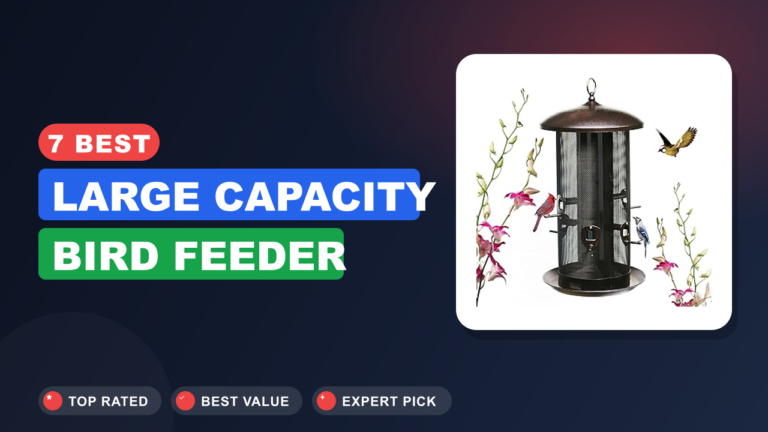 7 Best Large Capacity Bird Feeder