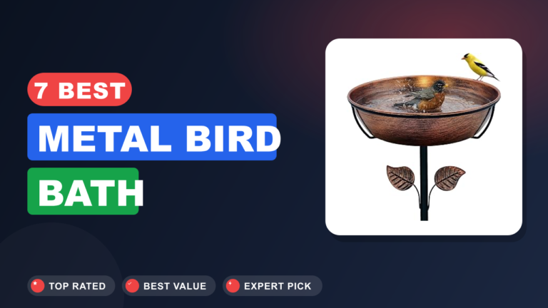 7 Best Metal Bird Bath