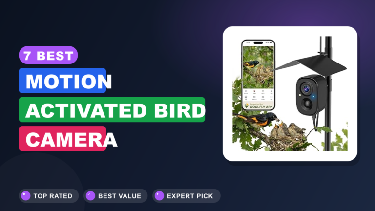 7 Best Motion Activated Bird Camera