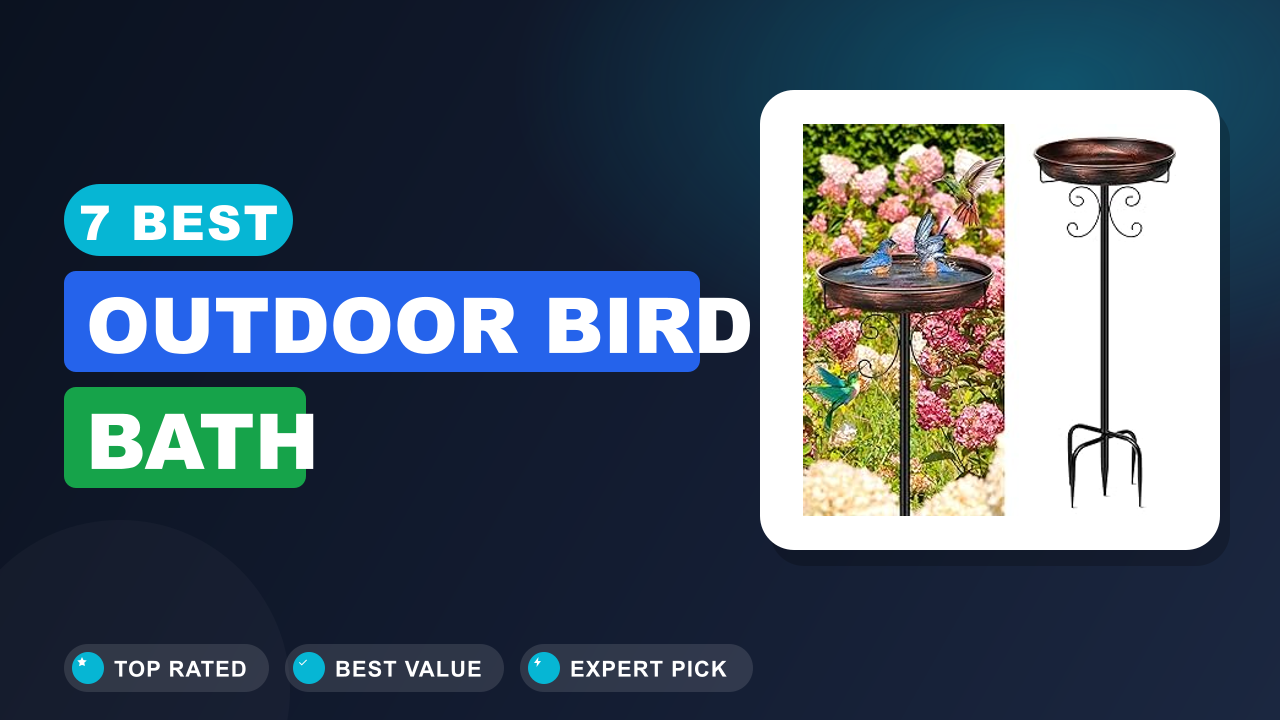 7 Best Outdoor Bird Bath