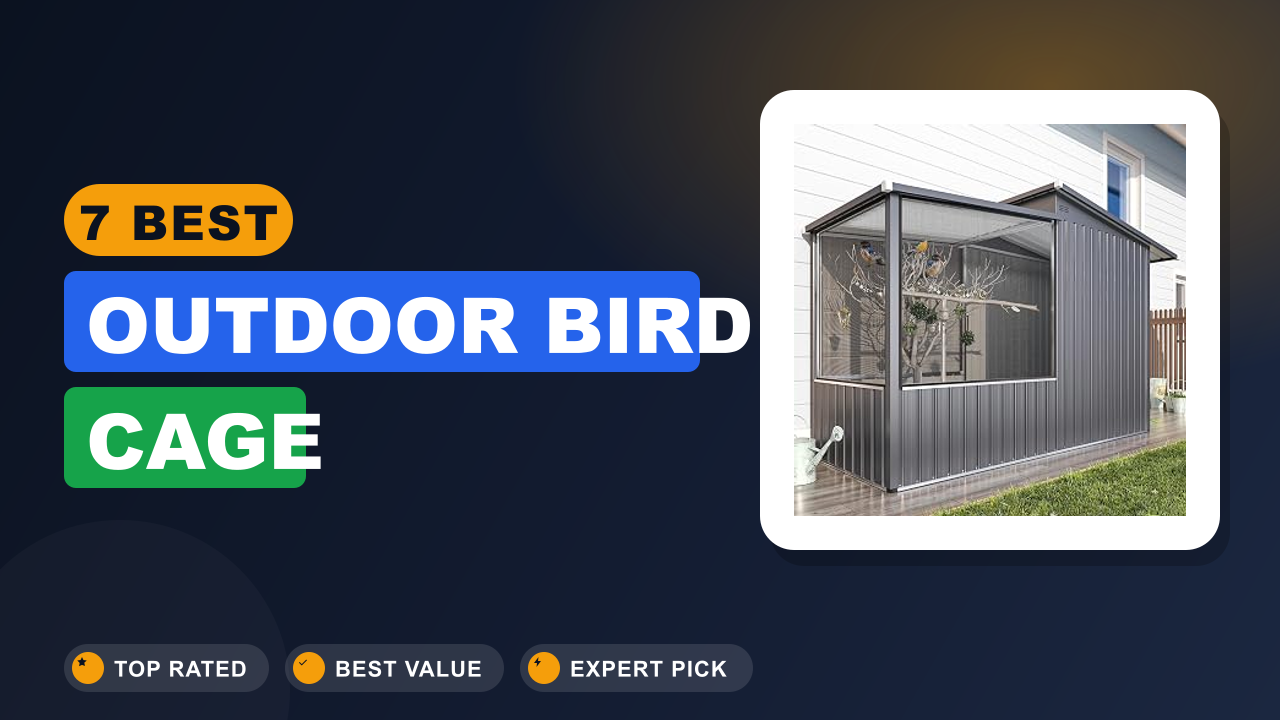 7 Best Outdoor Bird Cage