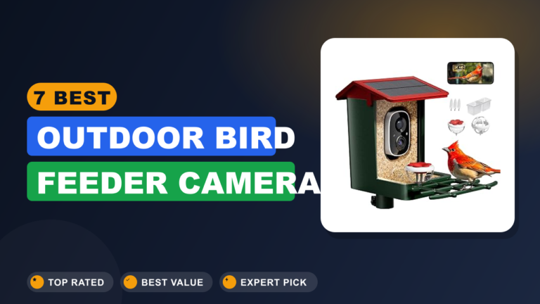 7 Best Outdoor Bird Feeder Camera