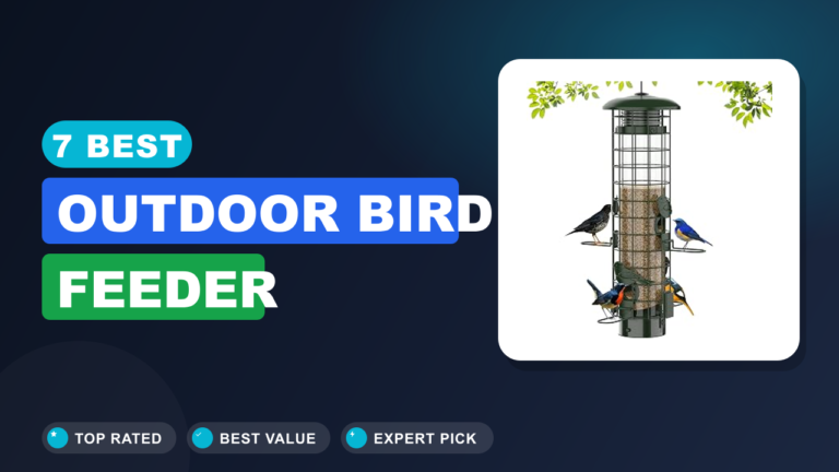 7 Best Outdoor Bird Feeder