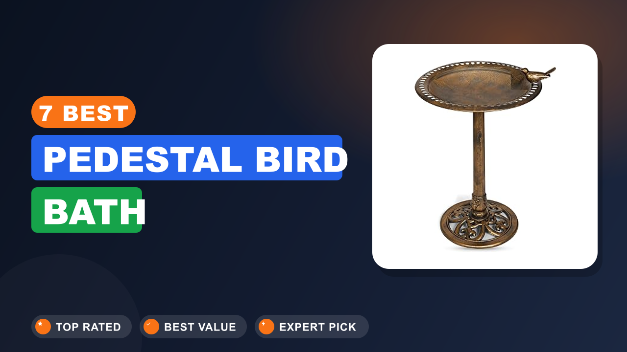 7 Best Pedestal Bird Bath