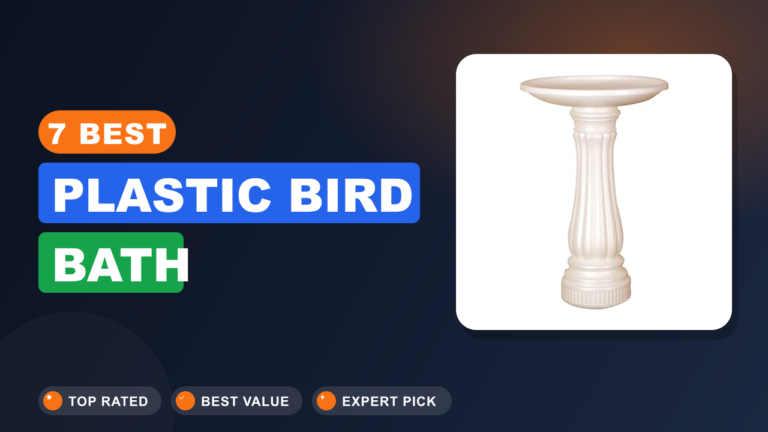 7 Best Plastic Bird Bath