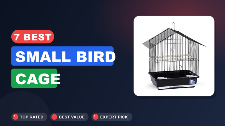 7 Best Small Bird Cage