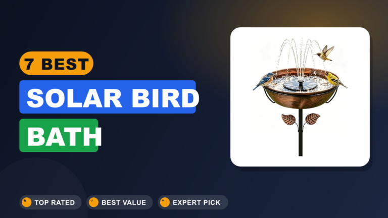 7 Best Solar Bird Bath