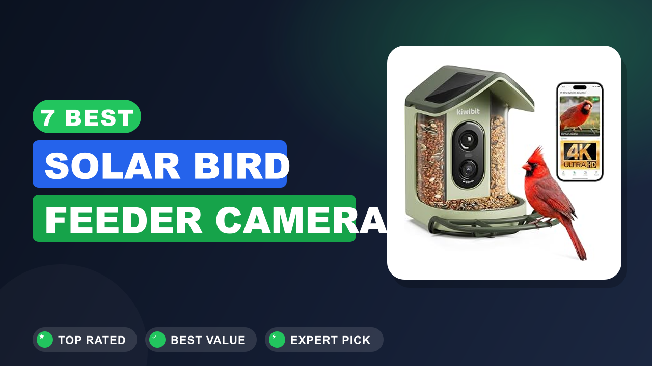 7 Best Solar Bird Feeder Camera