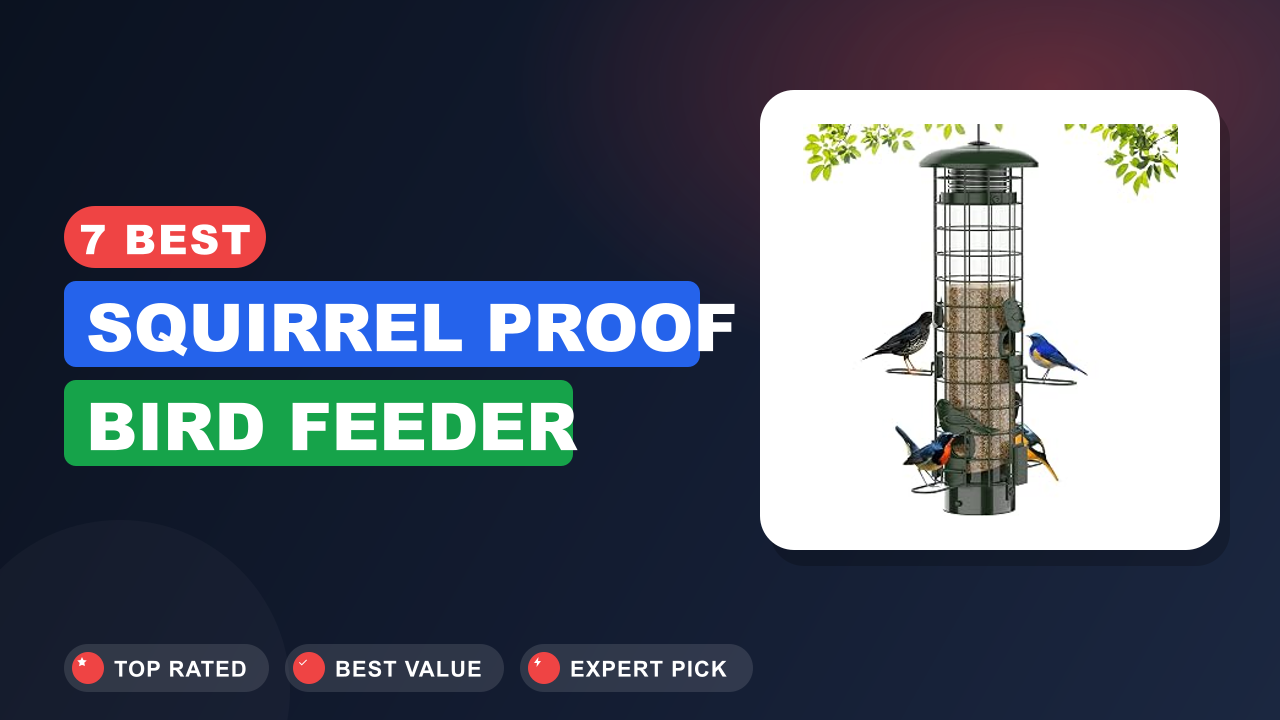 7 Best Squirrel Proof Bird Feeder