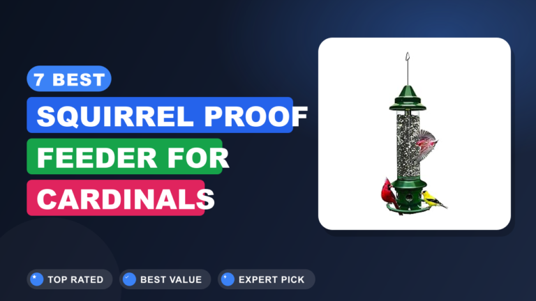 7 Best Squirrel Proof Feeder for Cardinals