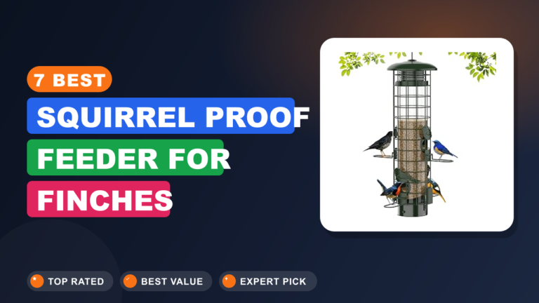 7 Best Squirrel Proof Feeder for Finches
