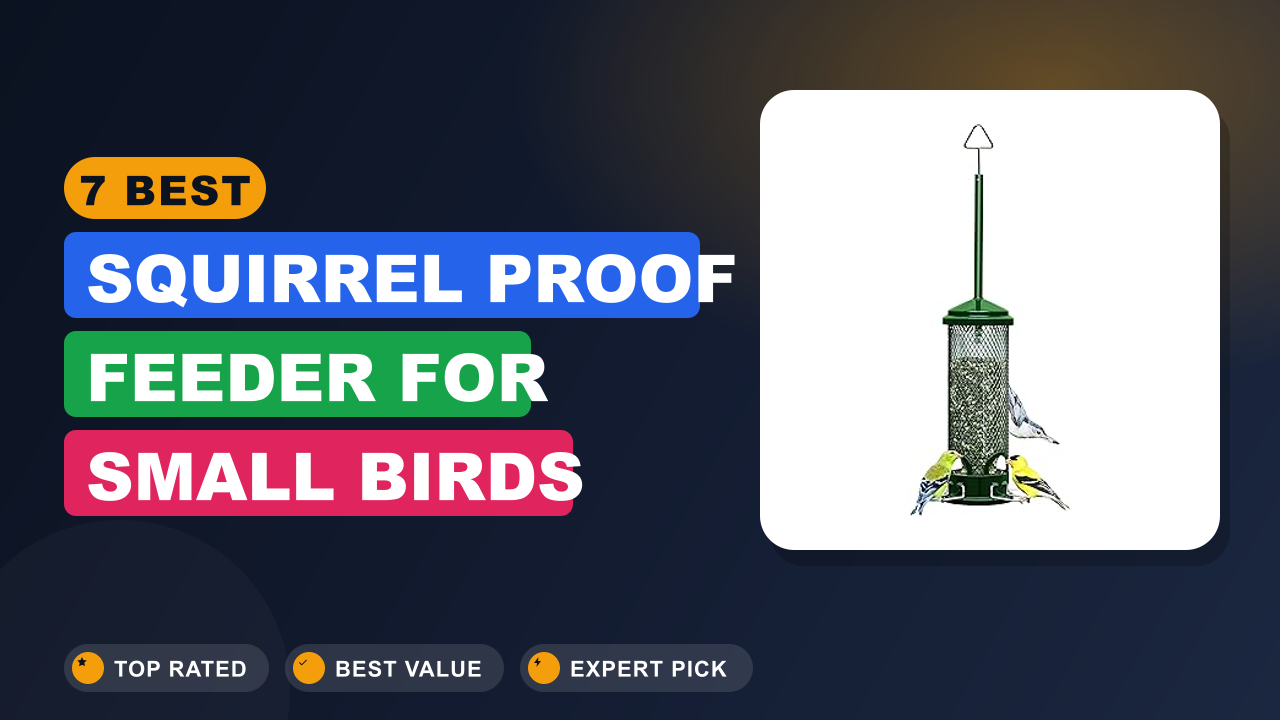7 Best Squirrel Proof Feeder for Small Birds