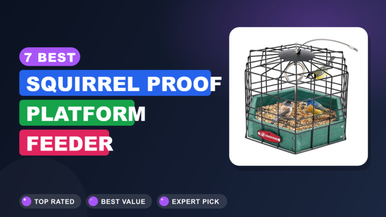7 Best Squirrel Proof Platform Feeder