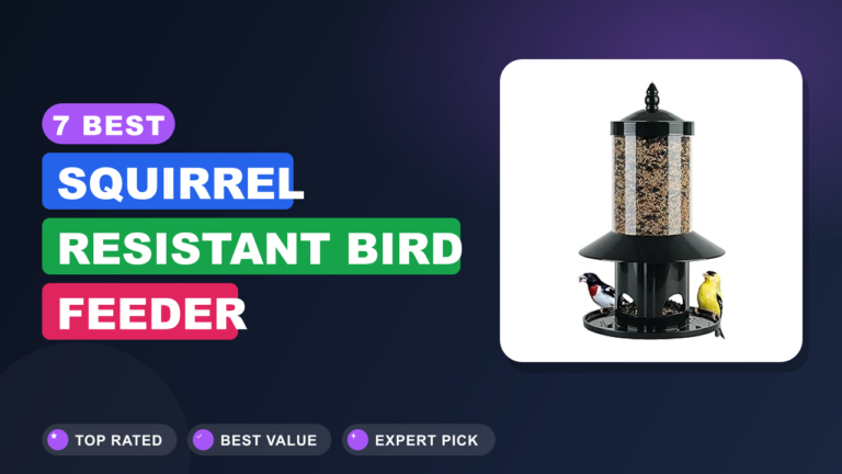 7 Best Squirrel Resistant Bird Feeder