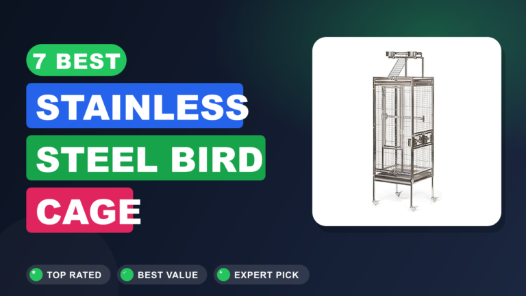 7 Best Stainless Steel Bird Cage