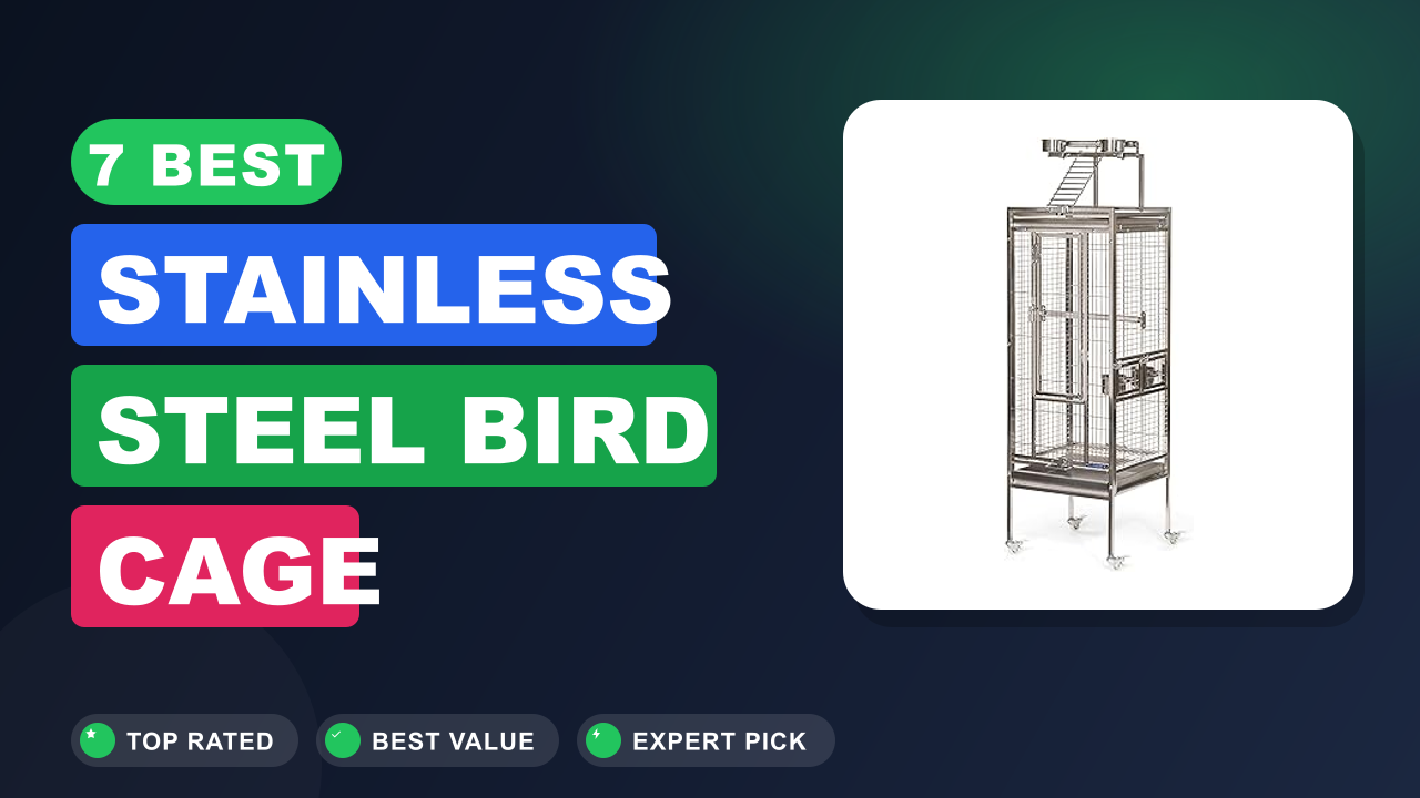 7 Best Stainless Steel Bird Cage