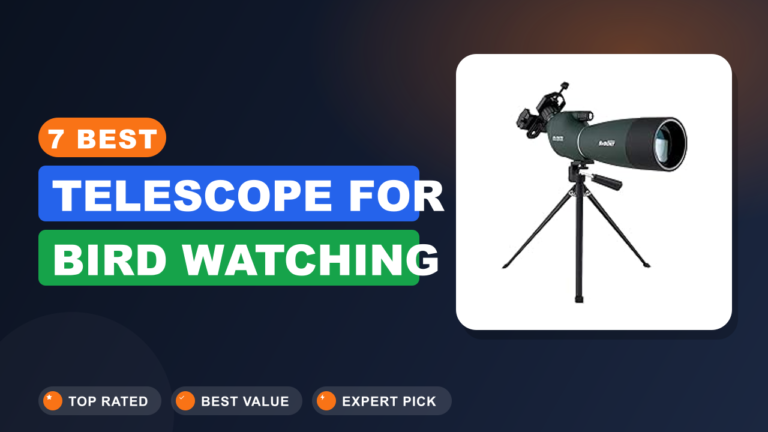 7 Best Telescope for Bird Watching