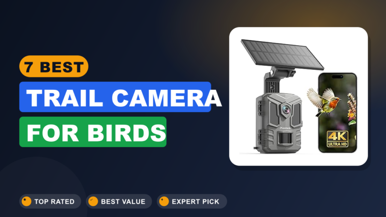 7 Best Trail Camera for Birds